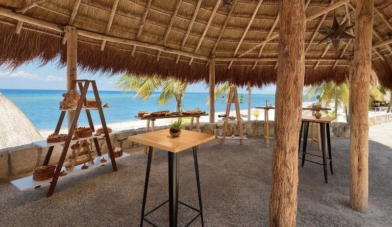 Bar pod palapo s pogledom na morje in plažo.