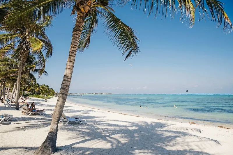 Pogled na peščeno plažo s palmami in turkiznim morjem
