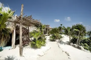 Papaya Playa Project